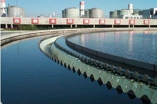 反硝化浮泥該如何預(yù)防?你知道嗎?