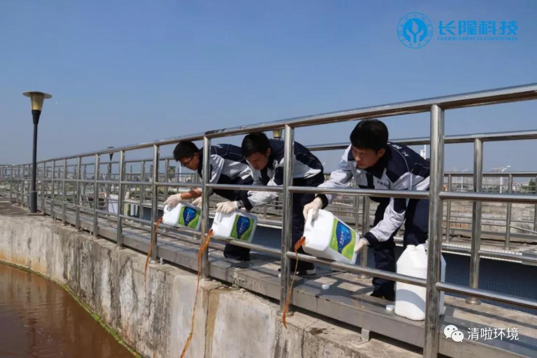 碳氮比失調,總氮超標怎么辦